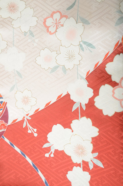 Long-sleeved kimono 6 items set / Furisode / FK#1-530