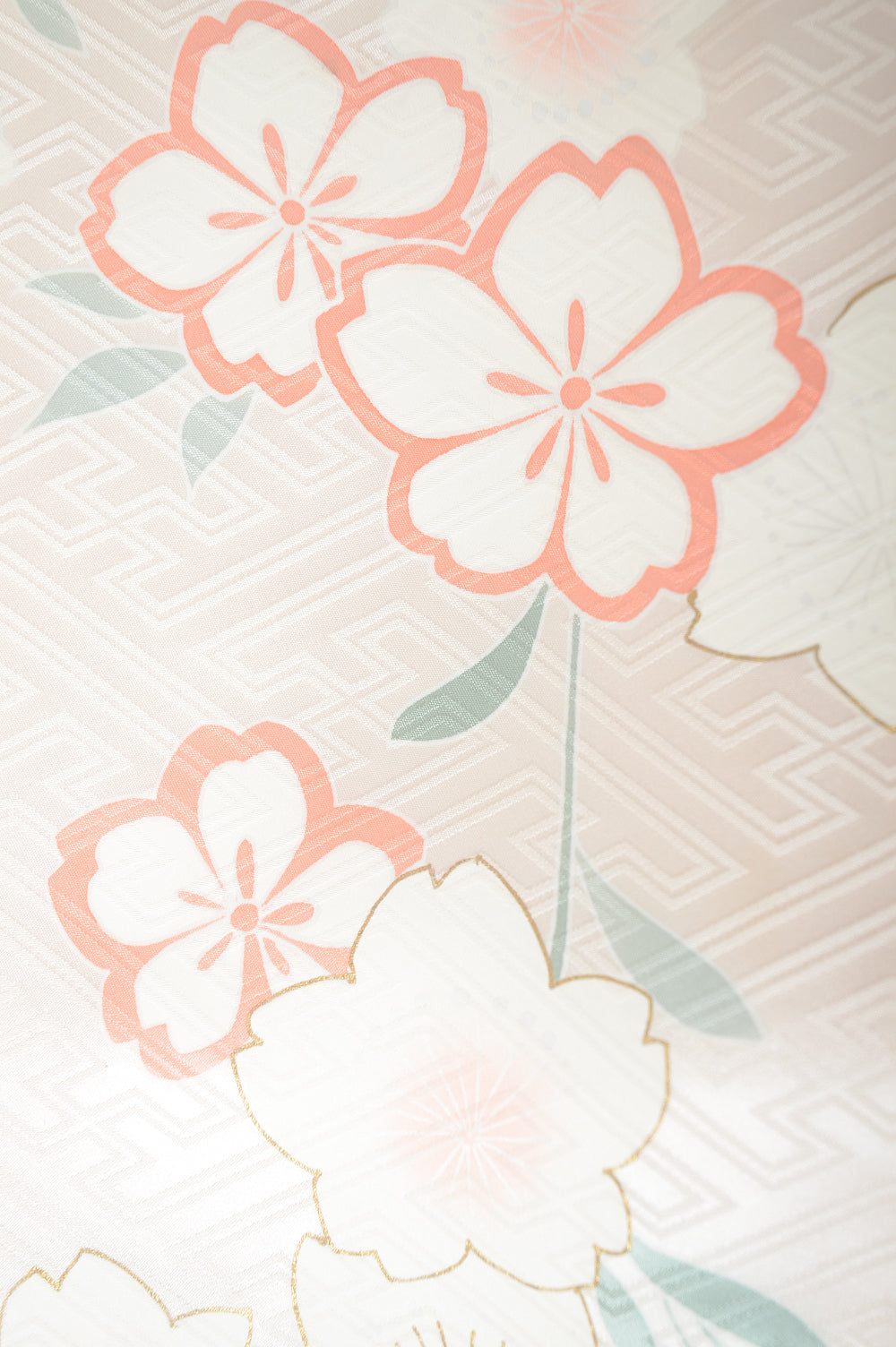 Long-sleeved kimono 6 items set / Furisode / FK#1-530