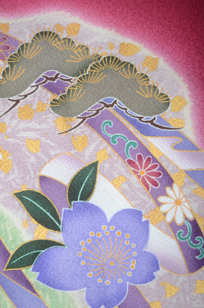 Long-sleeved kimono 6 items set / Furisode / FK#1-532