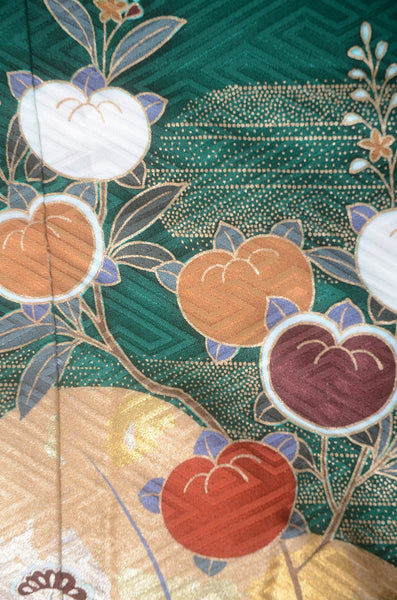 Long-sleeved kimono 6 items set / Furisode / FK#1-721