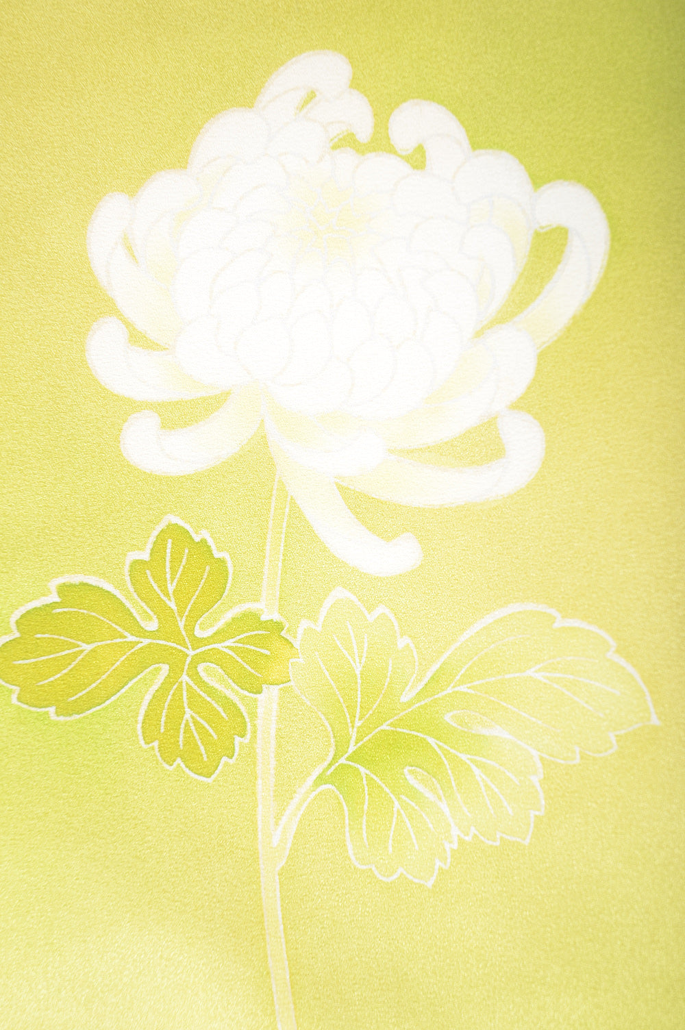 Japanese kimono / TK #1-804