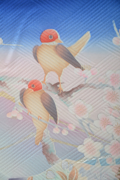 Long-sleeved kimono / Furisode / FK#1-601