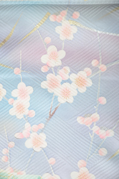 Long-sleeved kimono / Furisode / FK#1-601