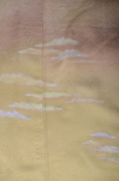 Japanese kimono / TK #1-981