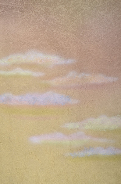 Japanese kimono / TK #1-981