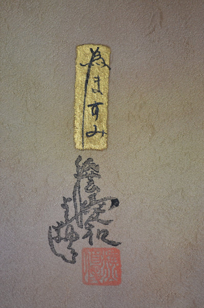 Japanese kimono / TK #1-981