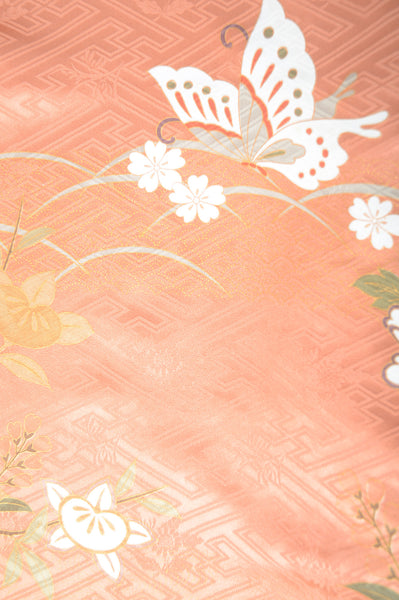 Long-sleeved kimono 6 items set / Furisode / FK#1-443