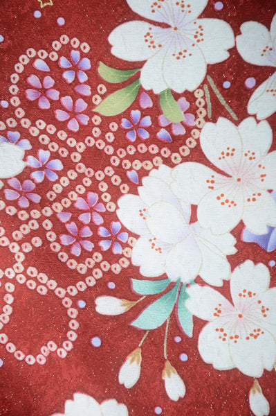 Long-sleeved kimono 6 items set / Furisode / FK#1-666