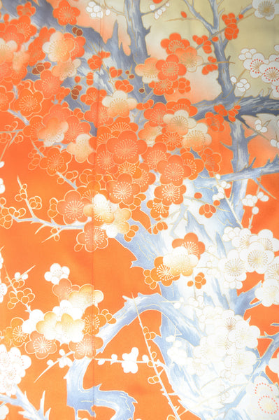 Long-sleeved kimono 6 items set / Furisode / FK#1-669