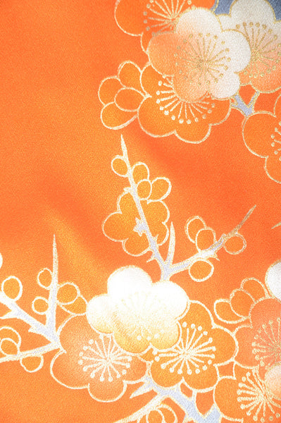 Long-sleeved kimono 6 items set / Furisode / FK#1-669