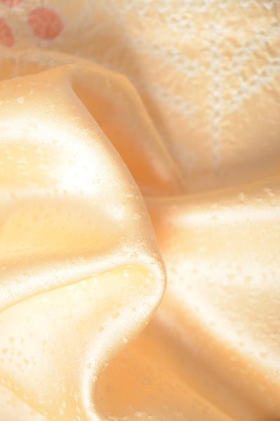 Japanese kimono / TK #1-648