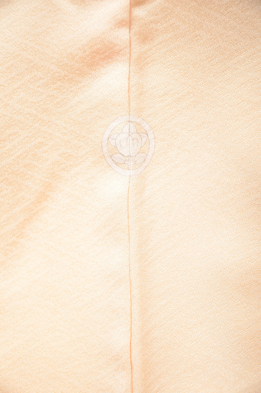 Japanese kimono / TK #1-650