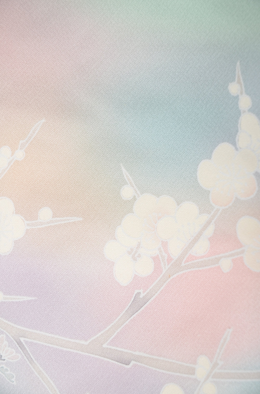 Japanese kimono 6 items set / TK #1-962