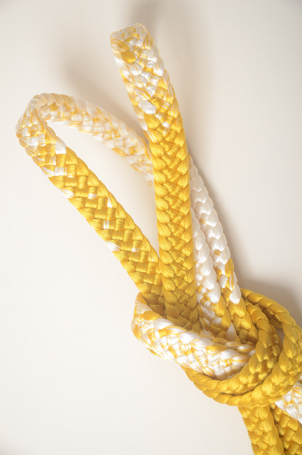 Long-sleeved kimono 6 items set / Furisode / FK#1-674