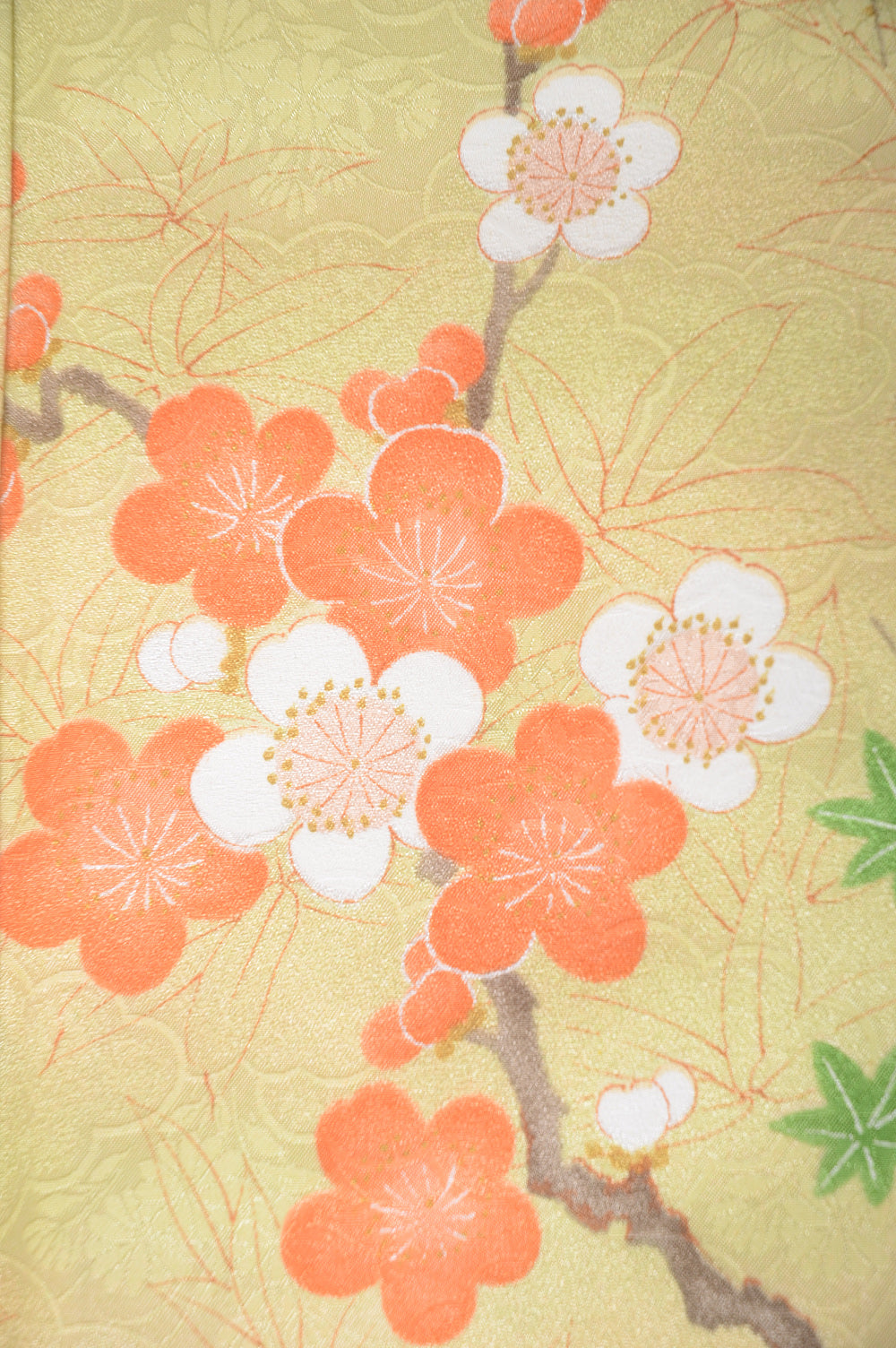The first kimono set : PK #441