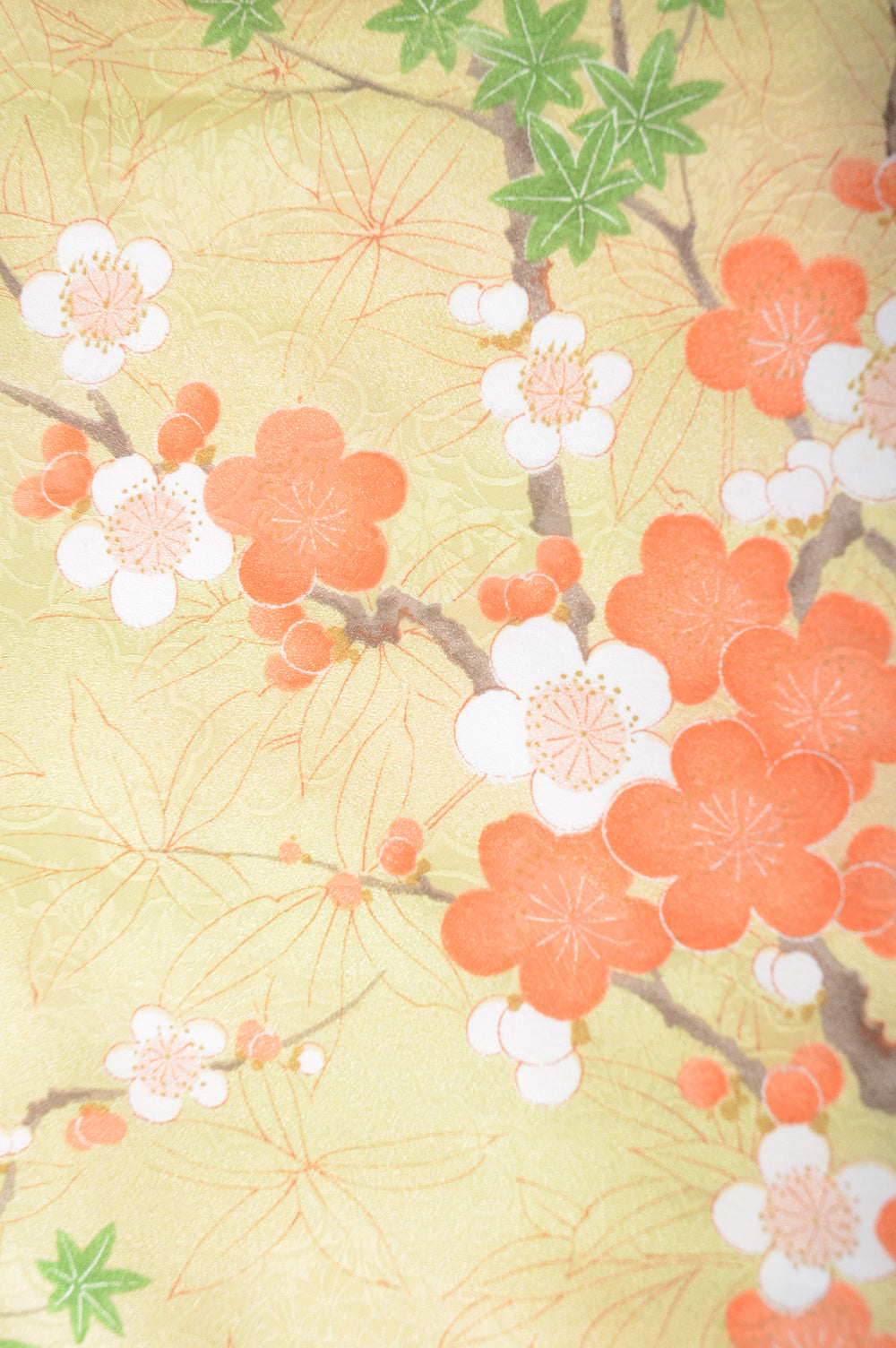 The first kimono set : PK #441