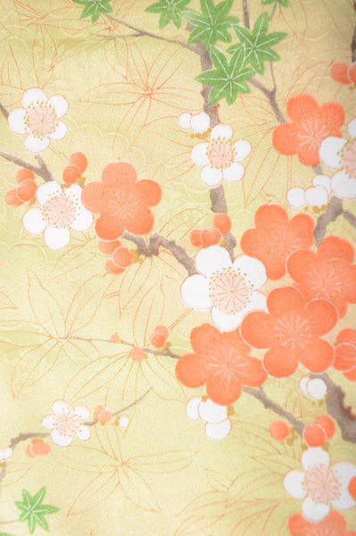 The first kimono set : PK #441