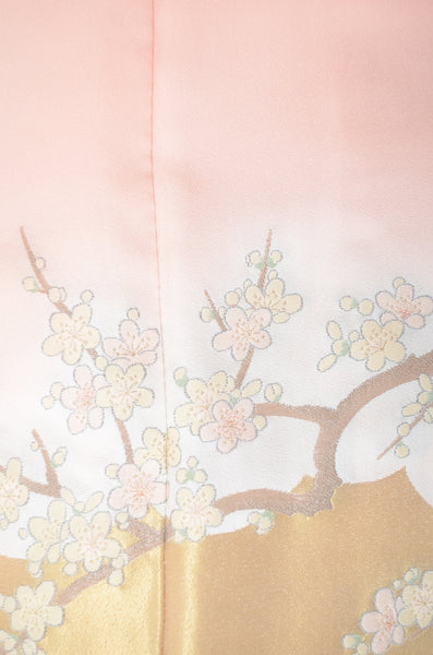 Long-sleeved kimono 6 items set / Furisode / FK#1-771