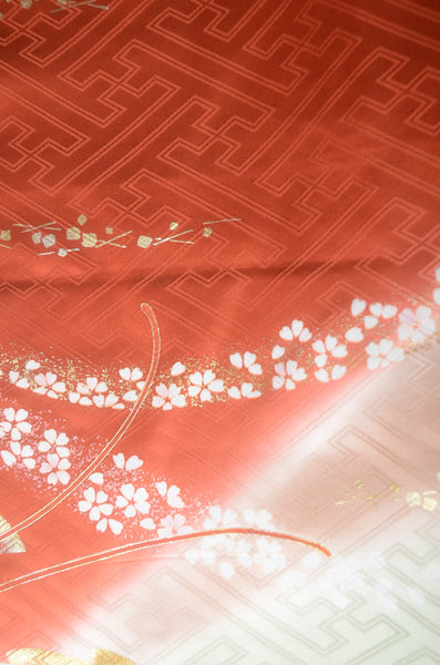 Long-sleeved kimono 6 items set / Furisode / FK#1-784