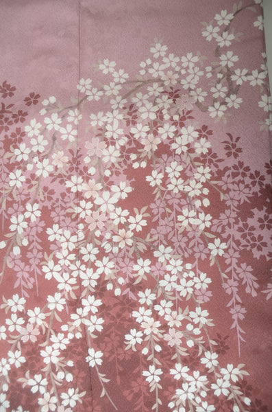 Long-sleeved kimono 6 items set / Furisode / FK#1-785
