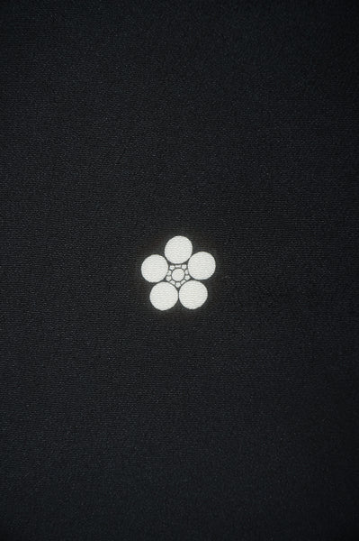 Japanese kimono 6 items set / BK#705