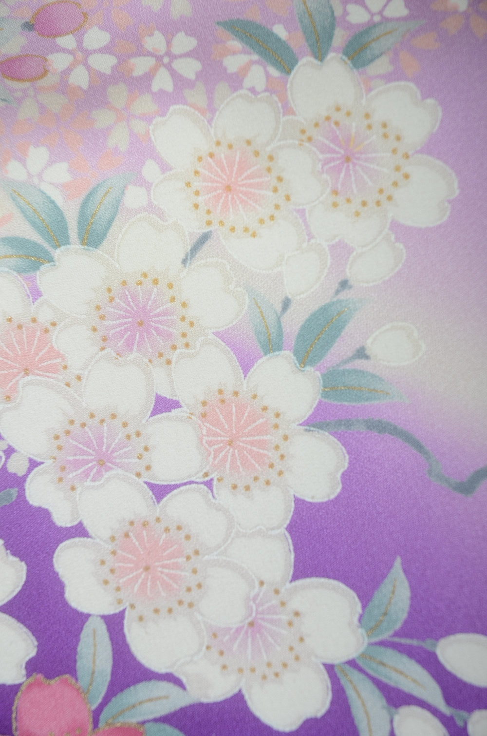 Long-sleeved kimono 6 items set / Furisode / FK#1-806