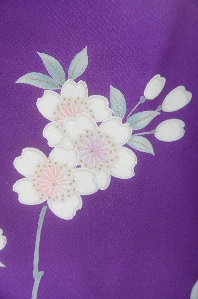 Long-sleeved kimono 6 items set / Furisode / FK#1-806