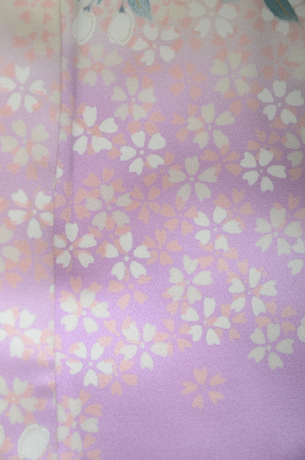 Long-sleeved kimono 6 items set / Furisode / FK#1-806