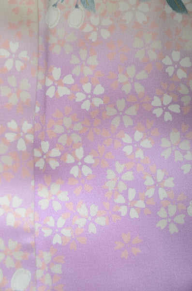 Long-sleeved kimono 6 items set / Furisode / FK#1-806