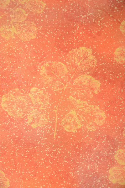 Women kimono jacket / W-Ha #1-751