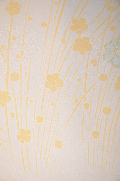 Japanese kimono / TK #1-564