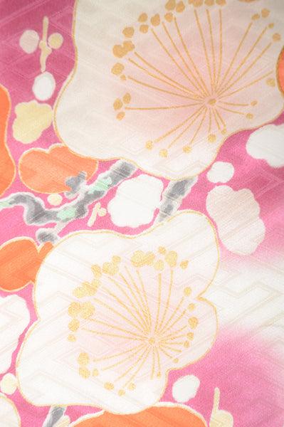 Long-sleeved kimono / Furisode / FK#1-513