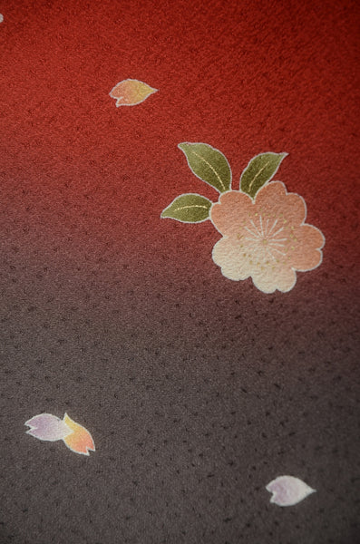 Long-sleeved kimono 6 items set / Furisode / FK#1-817