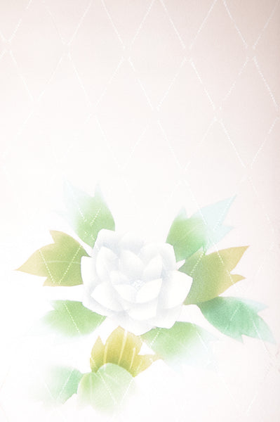 Japanese kimono / TK #1-581