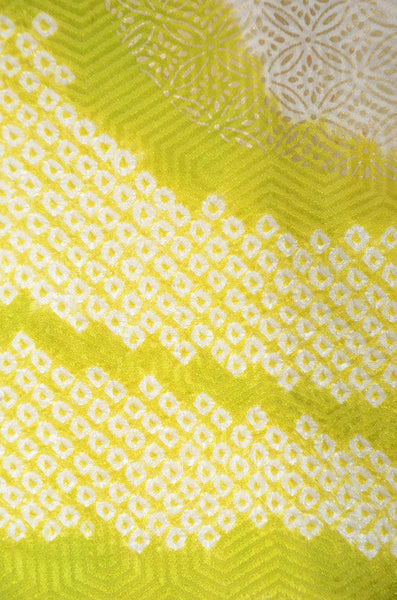 Long-sleeved kimono / Furisode / FK#1-525