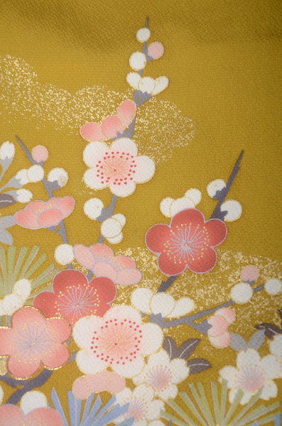 Long-sleeved kimono 6 items set / Furisode / FK#1-825