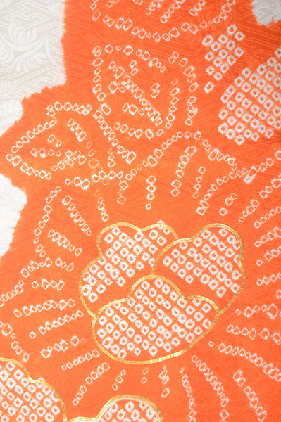 Long-sleeved kimono 6 items set / Furisode / FK#1-561