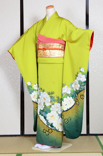 Long-sleeved kimono 6 items set / Furisode / FK#1042