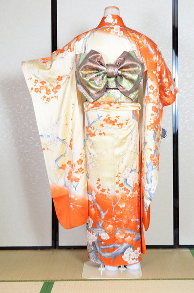 Long-sleeved kimono 6 items set / Furisode / FK#1-669