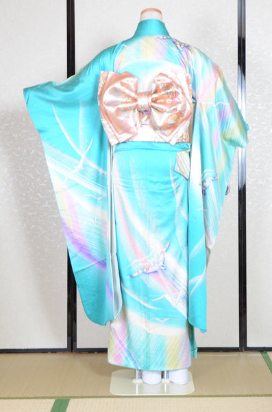 Long-sleeved kimono 6 items set / Furisode / FK#1-589