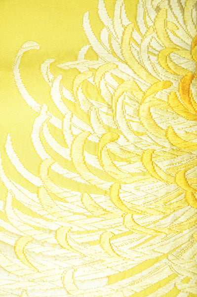 Long-sleeved kimono 6 items set / Furisode / FK#1-311