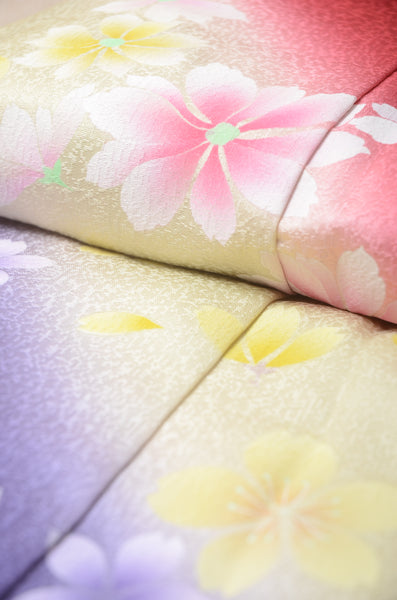 Long-sleeved kimono 6 items set / Furisode / FK#1192