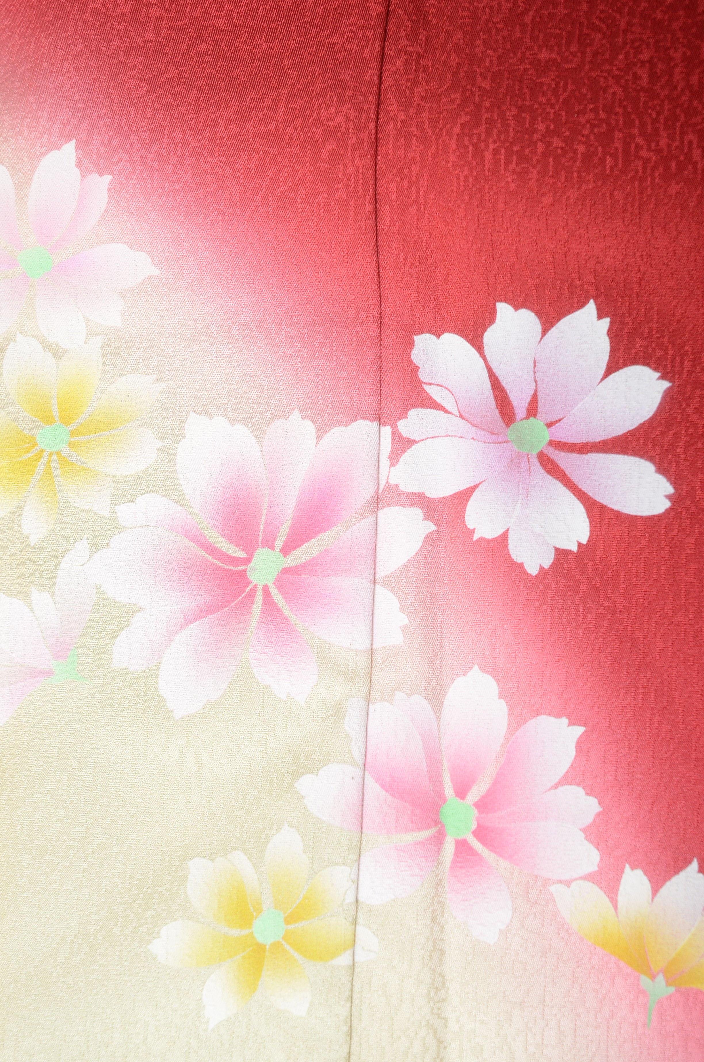 Long-sleeved kimono 6 items set / Furisode / FK#1192