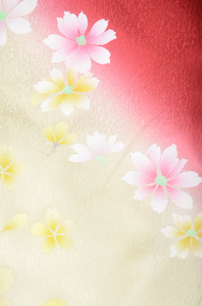 Long-sleeved kimono 6 items set / Furisode / FK#1192