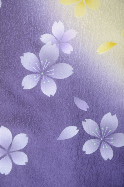 Long-sleeved kimono 6 items set / Furisode / FK#1192