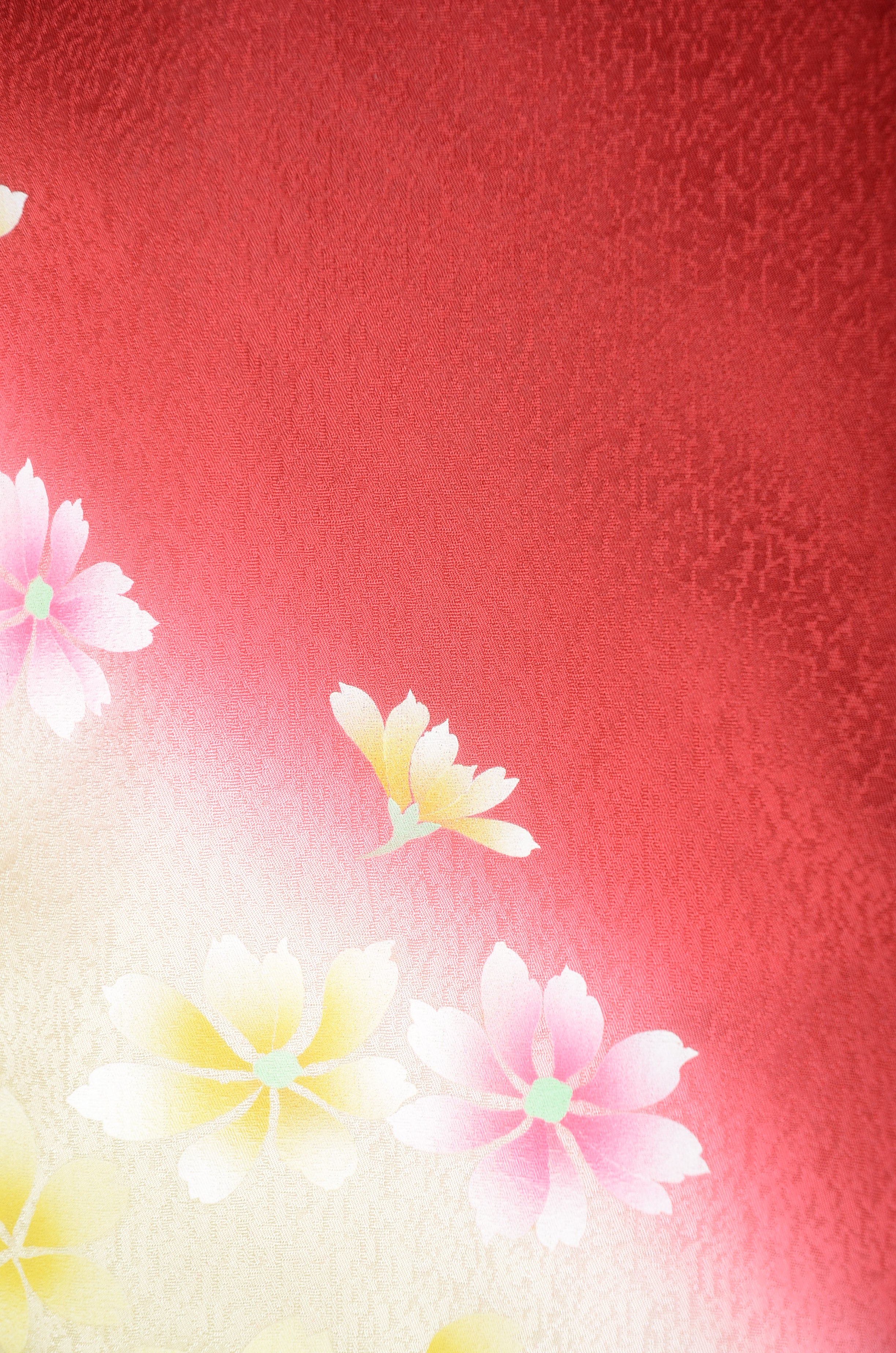 Long-sleeved kimono 6 items set / Furisode / FK#1192