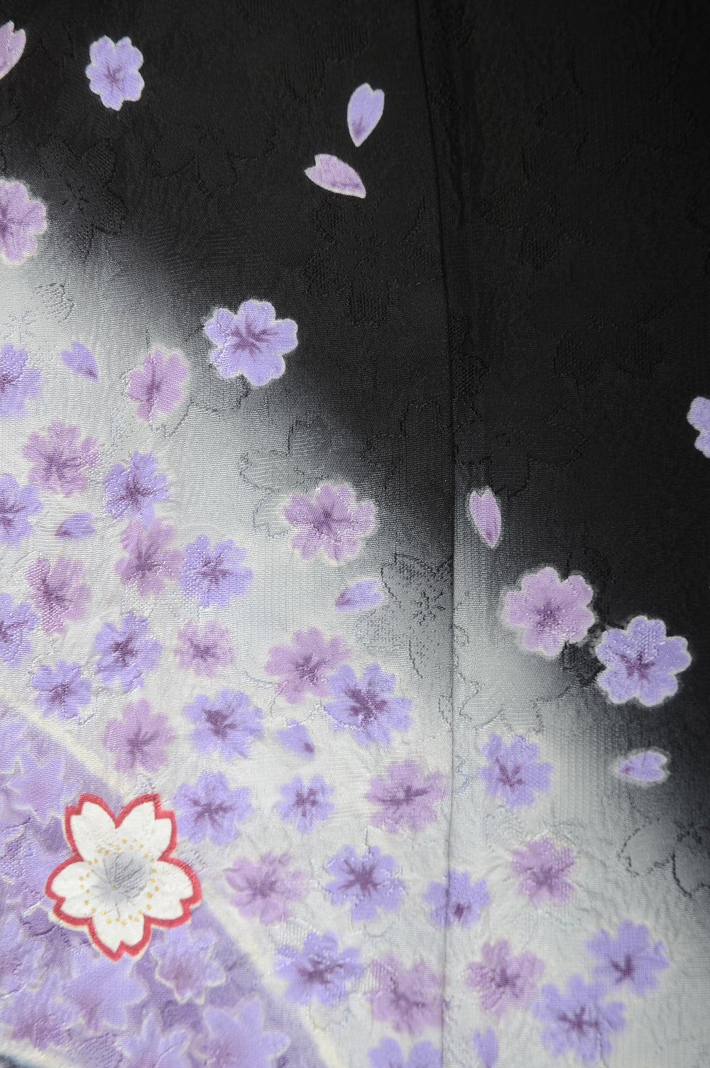 Long-sleeved kimono 6 items set / Furisode / FK#1-225