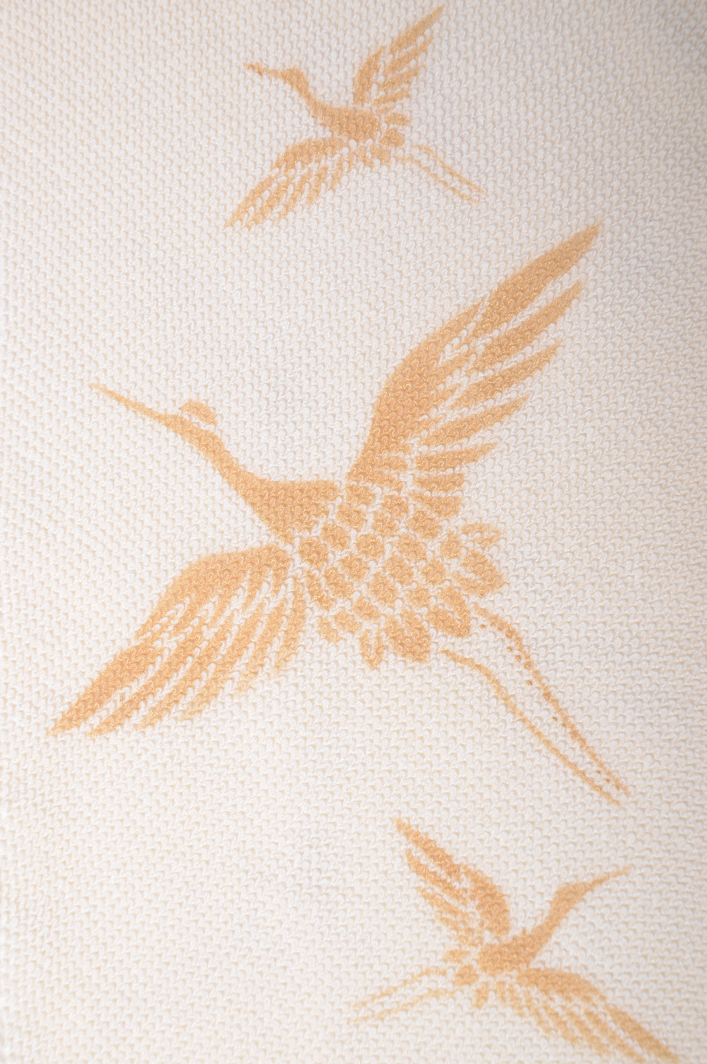 Long-sleeved kimono 6 items set / Furisode / FK#1-227