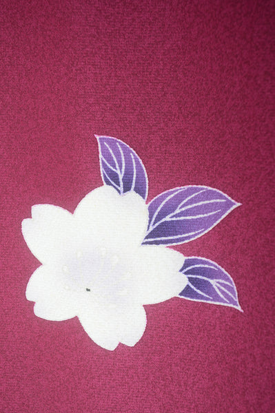 Long-sleeved kimono 6 items set / Furisode / FK#1-315