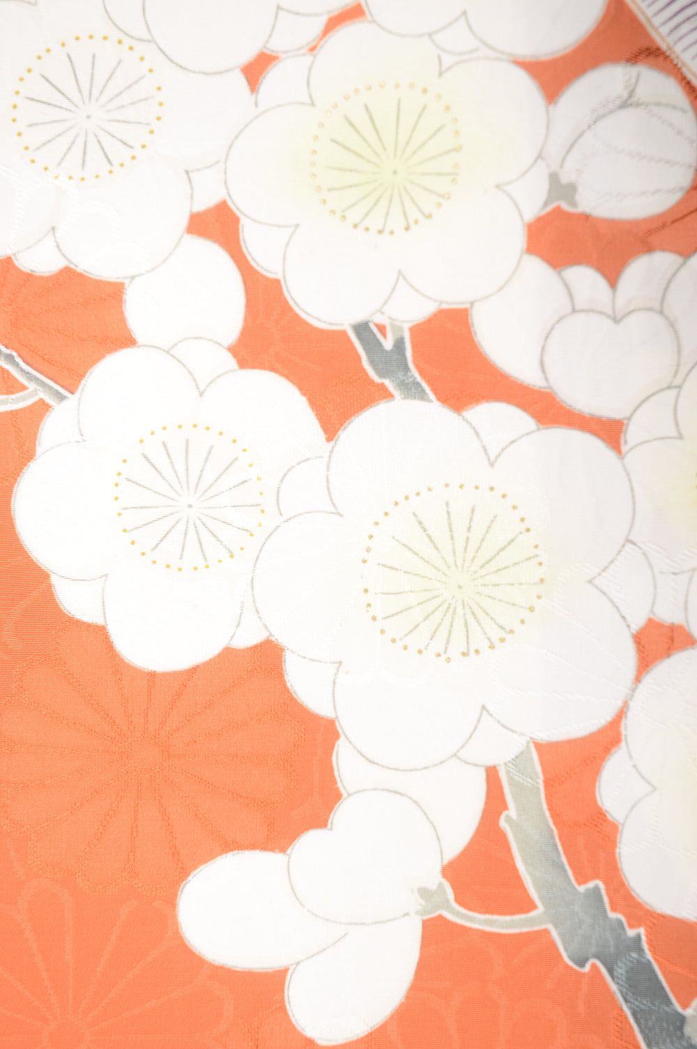 Long-sleeved kimono 6 items set / Furisode / FK#1-323